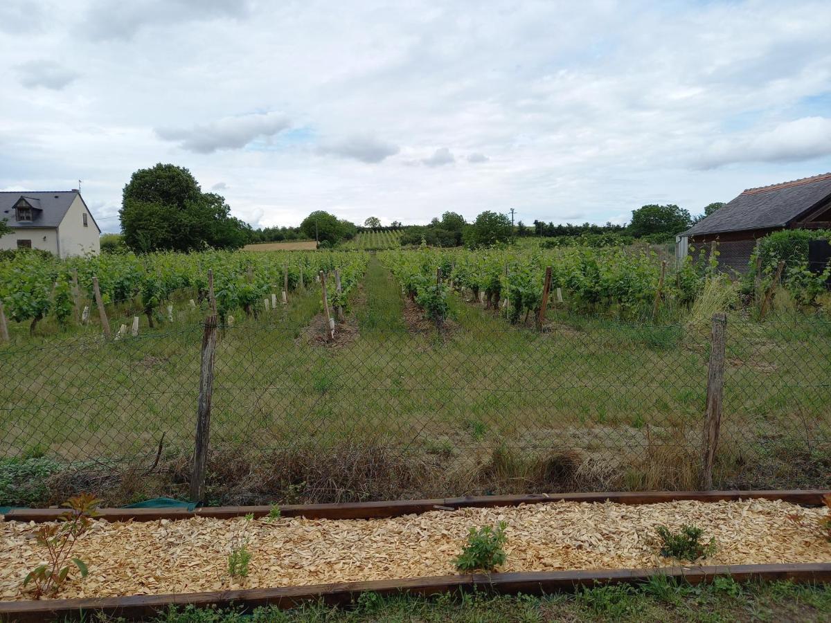 Hebergement Sarment Du Veron Chinon Villa Beaumont-en-Véron Exteriör bild